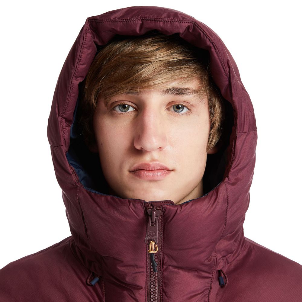 Timberland Mens Jackets Neo Summit Hooded Winter - Burgundy - India ZN3598427